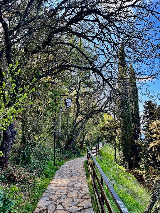 The Emerald Dream * Ohrid